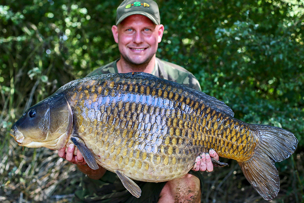 A big framed common!